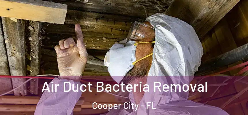  Air Duct Bacteria Removal Cooper City - FL