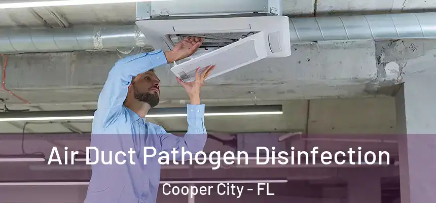  Air Duct Pathogen Disinfection Cooper City - FL