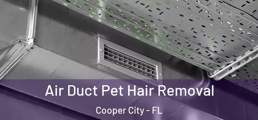  Air Duct Pet Hair Removal Cooper City - FL