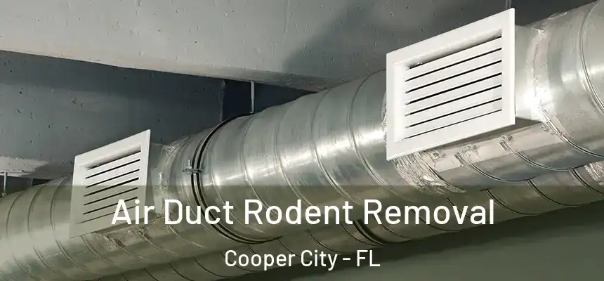  Air Duct Rodent Removal Cooper City - FL