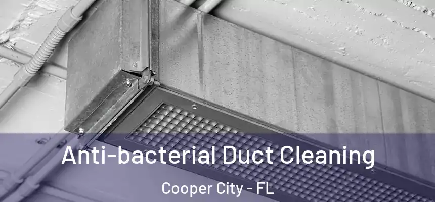  Anti-bacterial Duct Cleaning Cooper City - FL