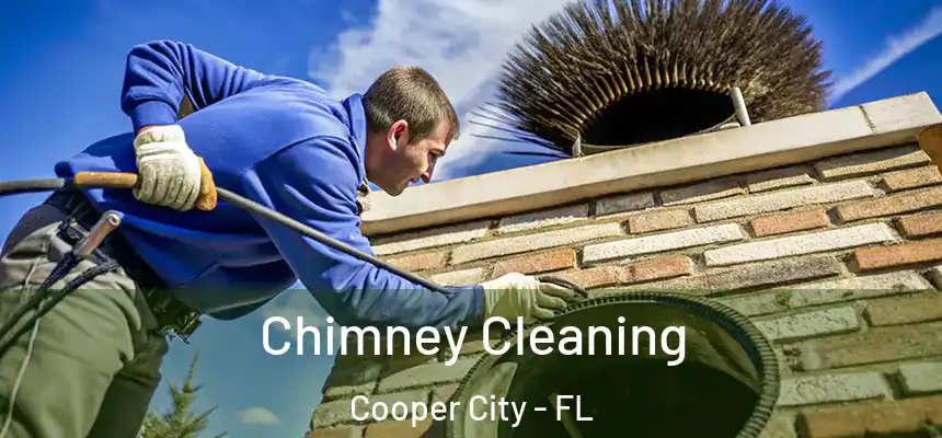  Chimney Cleaning Cooper City - FL