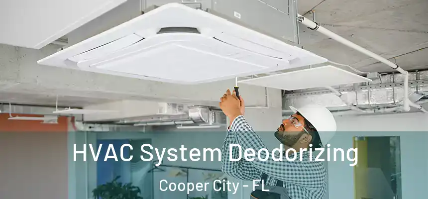  HVAC System Deodorizing Cooper City - FL