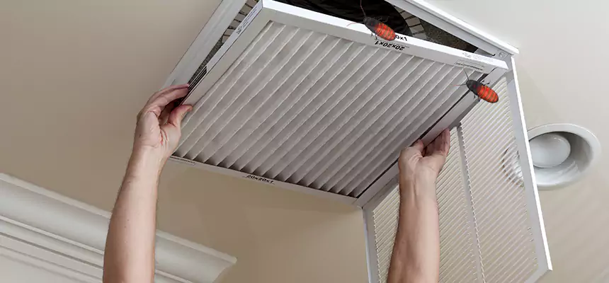 Preventive Cockroach-Proofing for Ducts in Cooper City