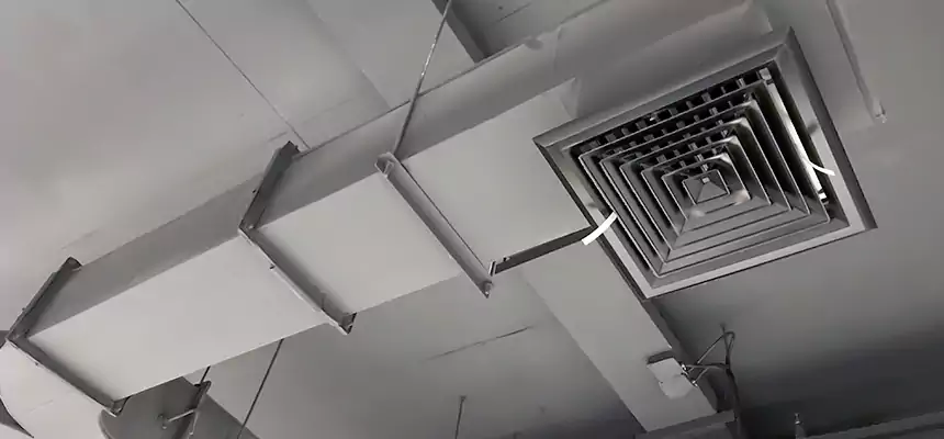 Restorative Allergy Relief Vent Cleaning – Coil, Blower & Housing Detail in Cooper City