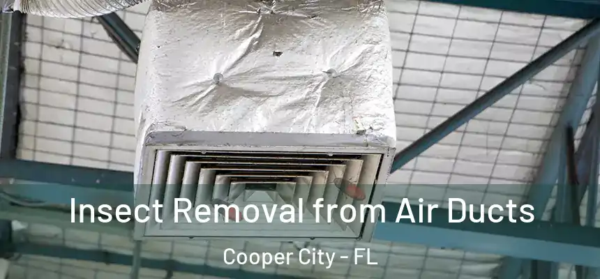 Insect Removal from Air Ducts Cooper City - FL