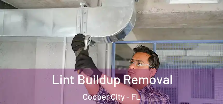  Lint Buildup Removal Cooper City - FL