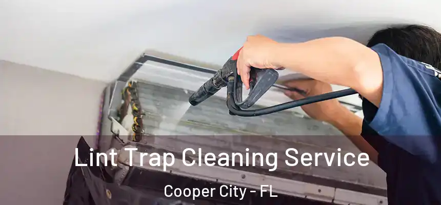  Lint Trap Cleaning Service Cooper City - FL