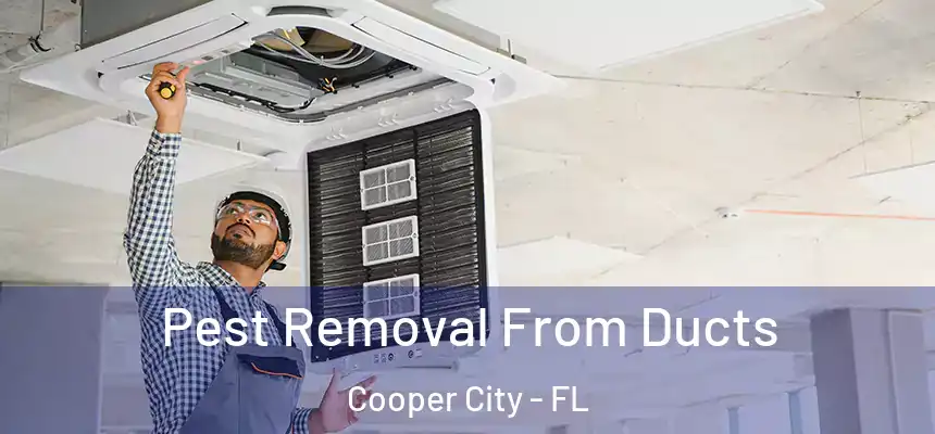  Pest Removal From Ducts Cooper City - FL