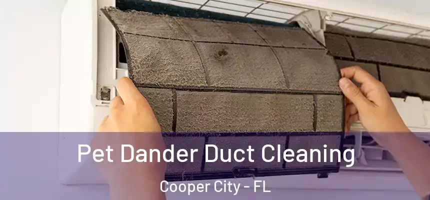  Pet Dander Duct Cleaning Cooper City - FL