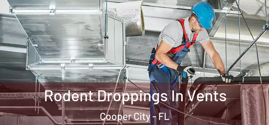  Rodent Droppings In Vents Cooper City - FL