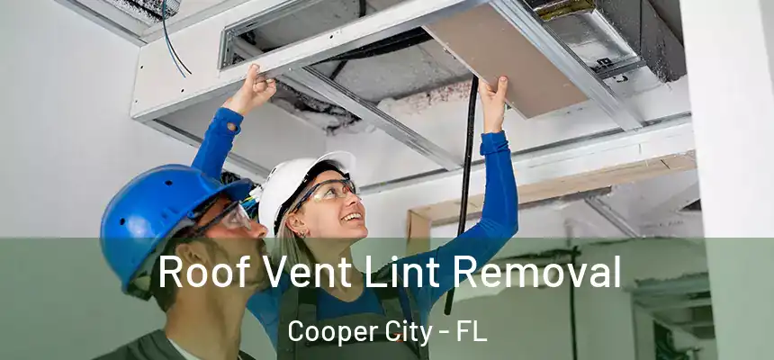 Roof Vent Lint Removal Cooper City - FL