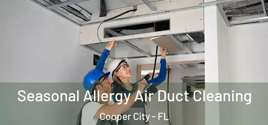  Seasonal Allergy Air Duct Cleaning Cooper City - FL