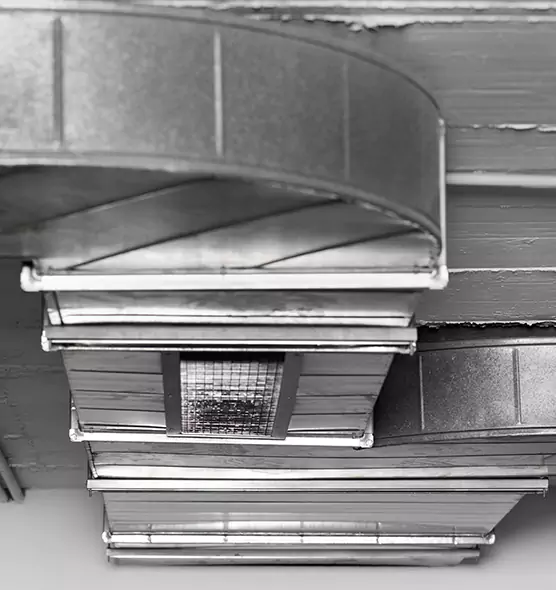 Professional Air Duct Pet Hair Removal in Cooper City, FL