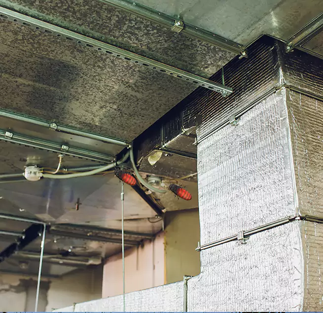 Why Homeowners & Businesses Trust Us in Cooper City, FL?