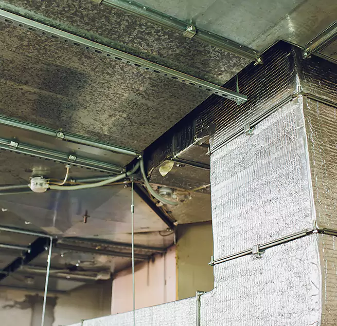 Why Homeowners & Businesses Trust Us in Cooper City, FL?