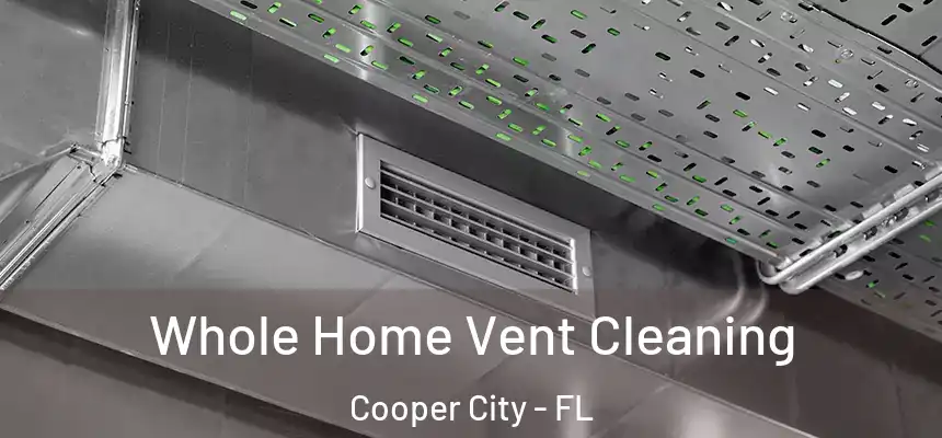  Whole Home Vent Cleaning Cooper City - FL